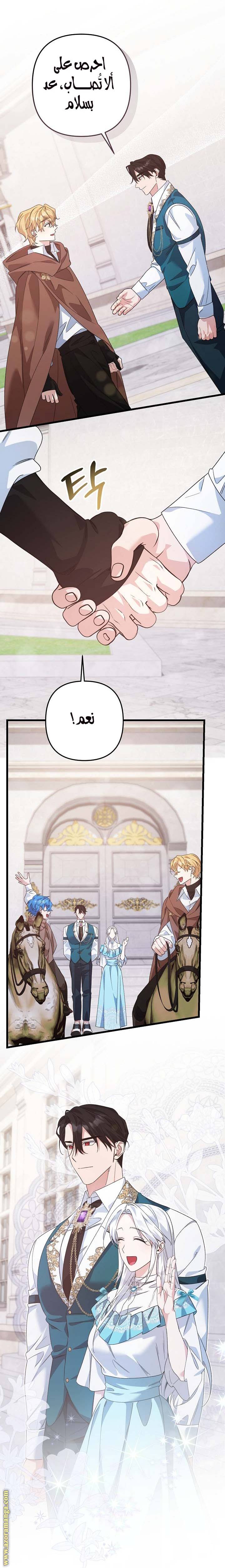 الصفحة 13