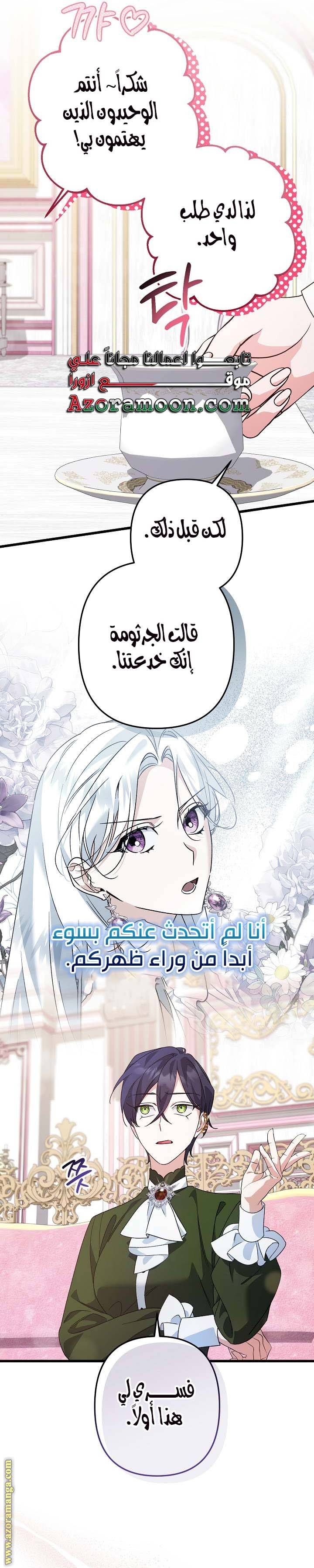 الصفحة 17