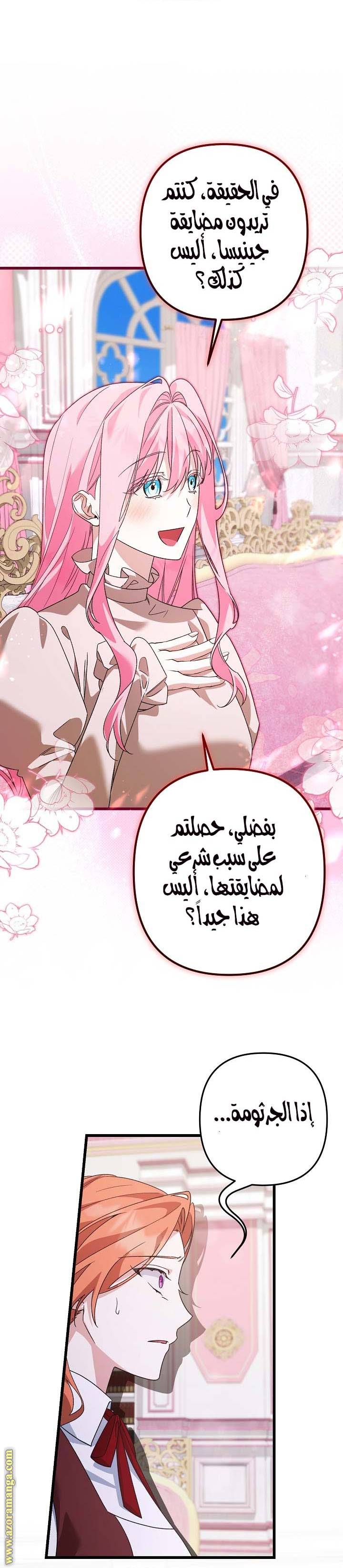 الصفحة 19