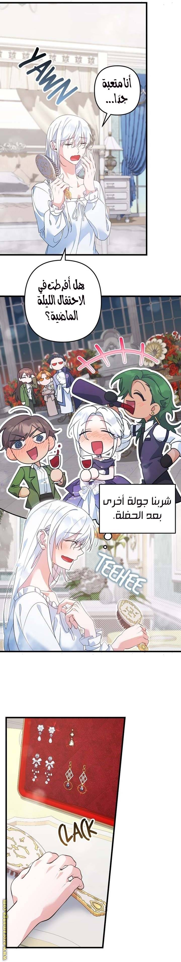 الصفحة 13