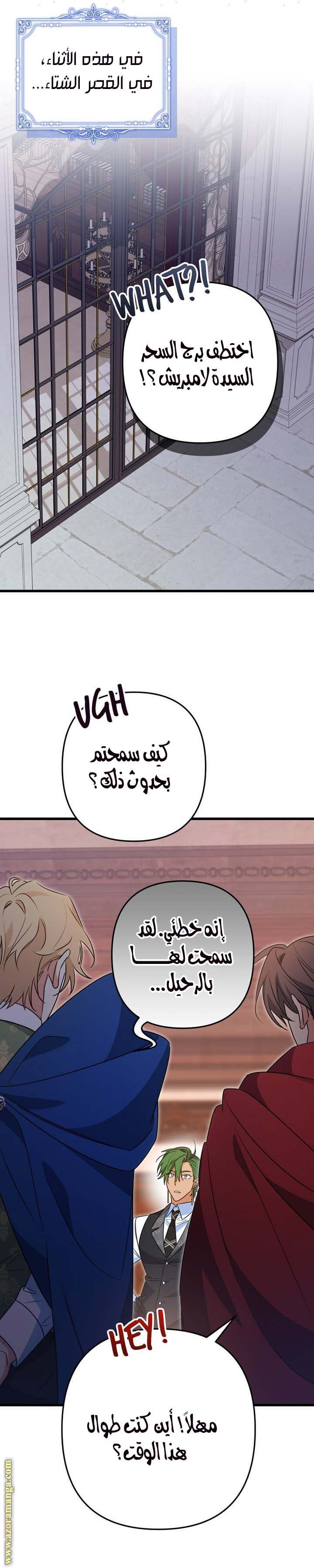 الصفحة 13