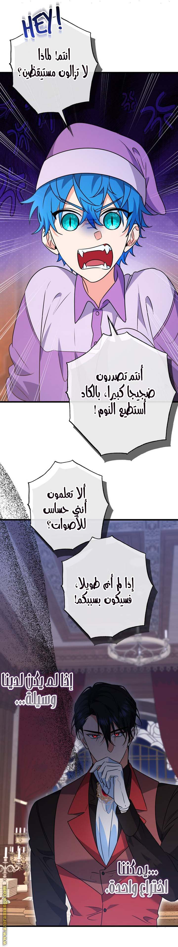الصفحة 17