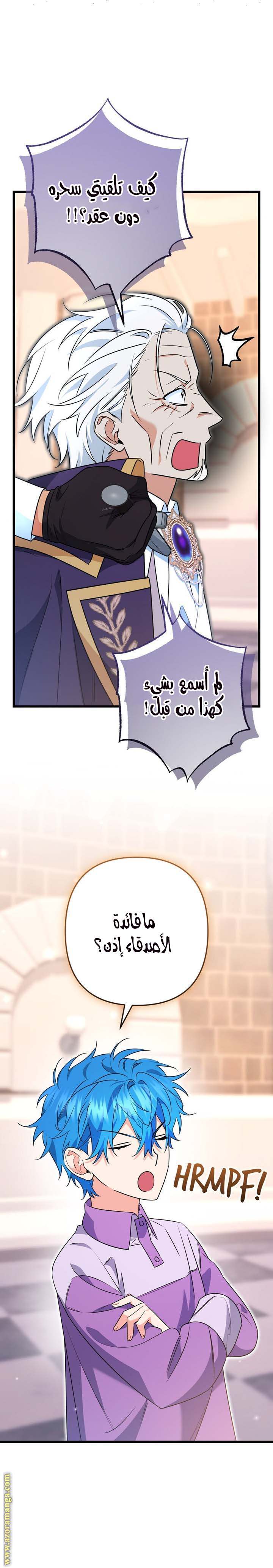 الصفحة 12