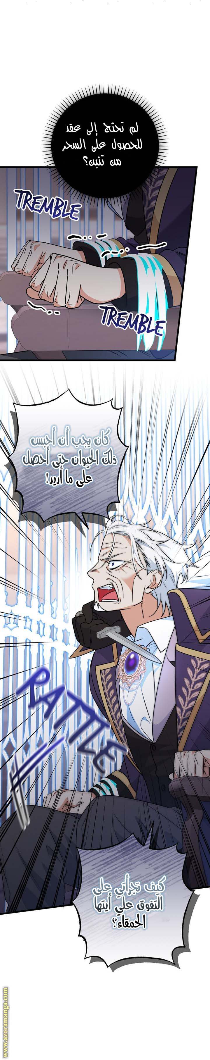 الصفحة 14