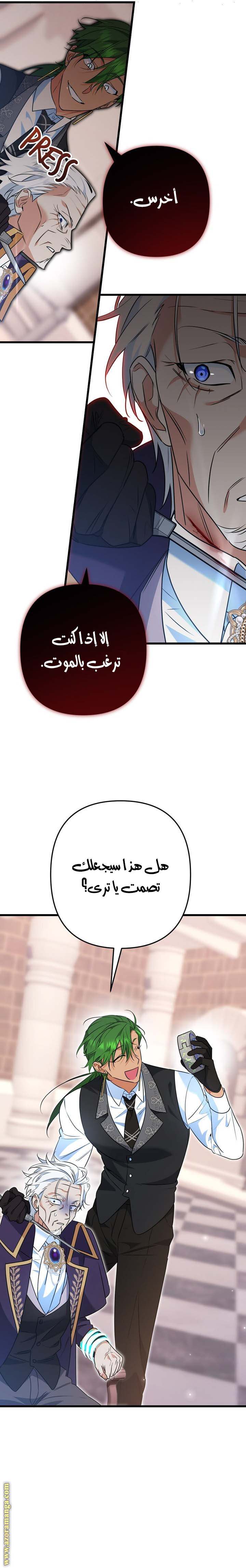 الصفحة 17