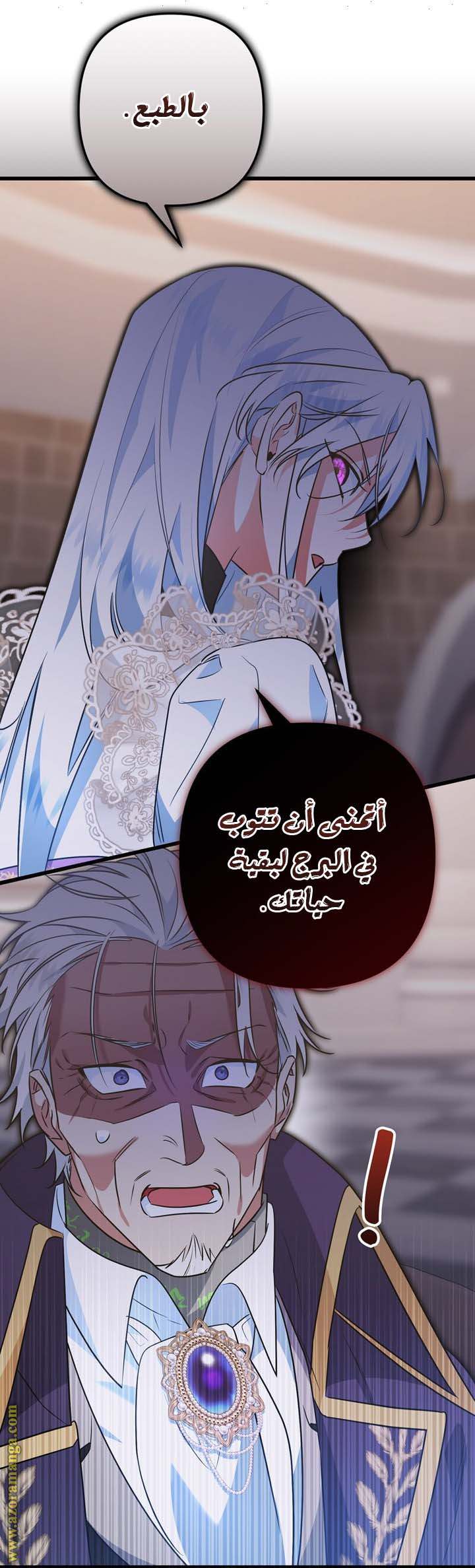 الصفحة 24