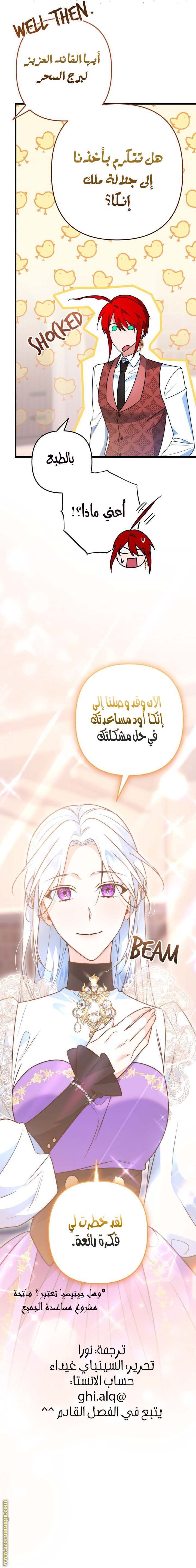 الصفحة 27