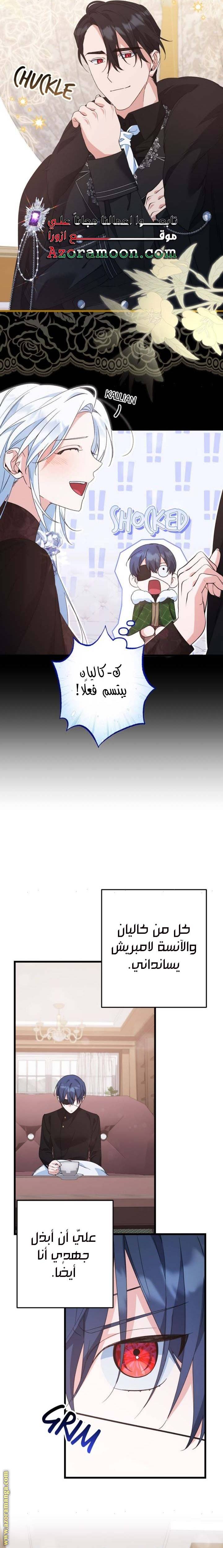 الصفحة 13