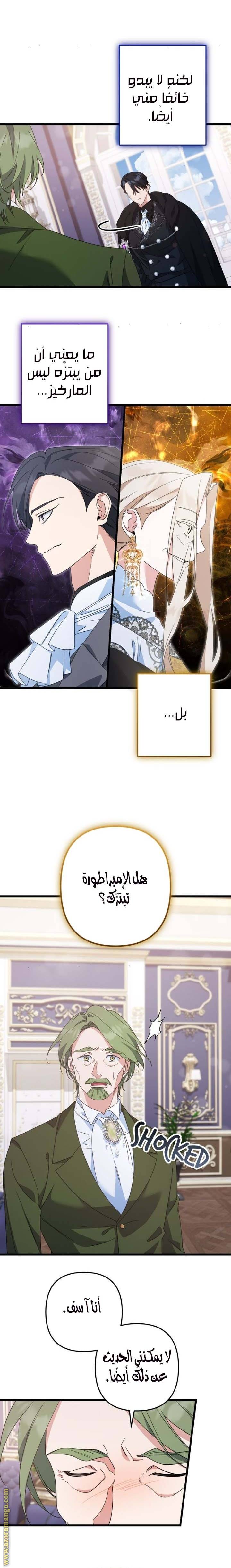 الصفحة 17