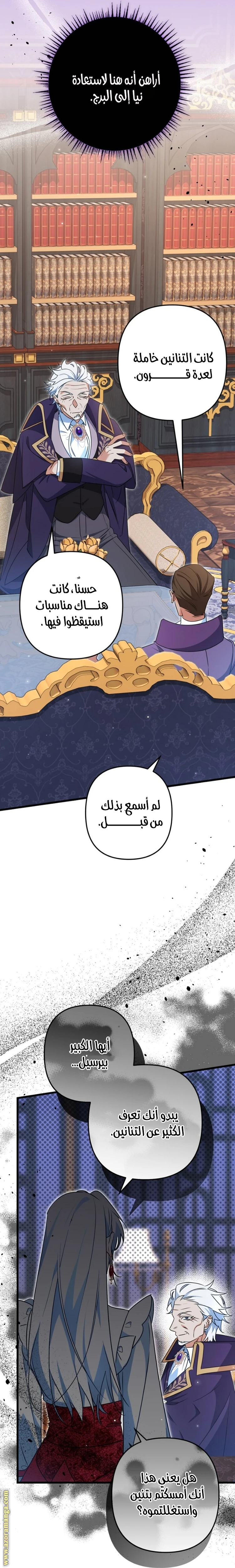 الصفحة 25