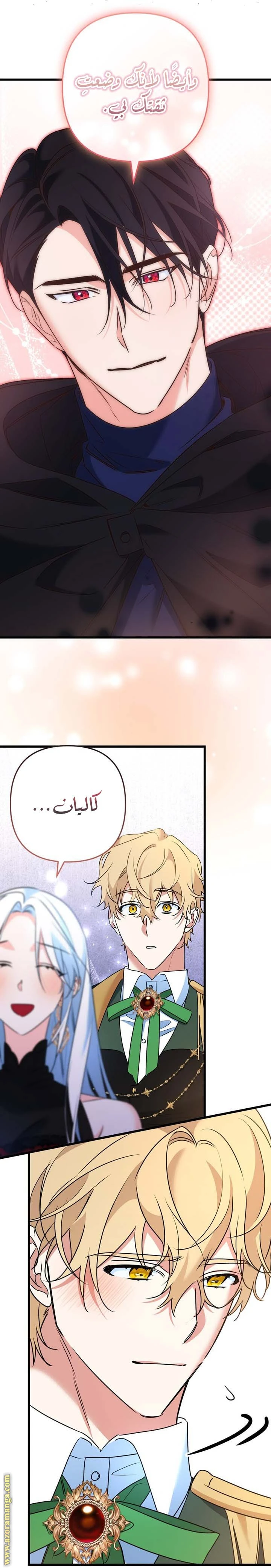 الصفحة 17