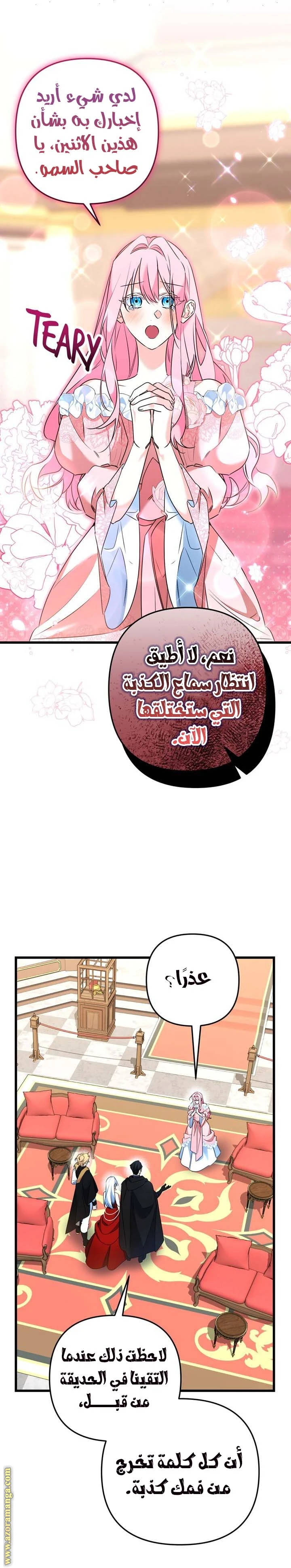 الصفحة 19