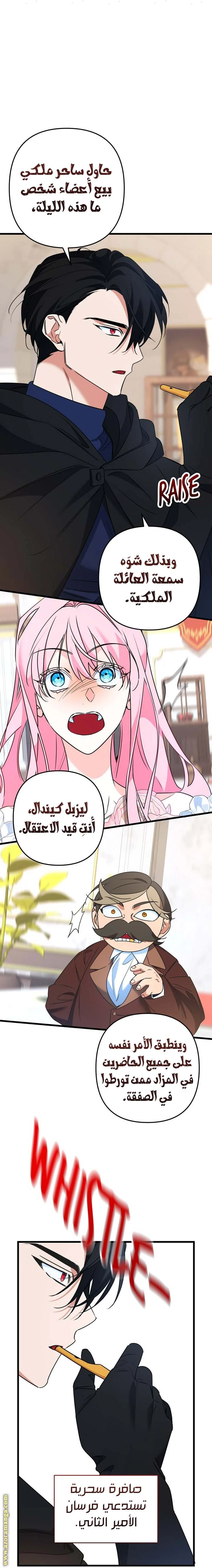 الصفحة 22