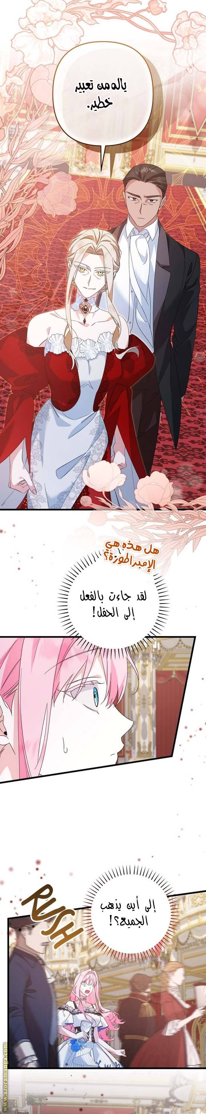 الصفحة 16