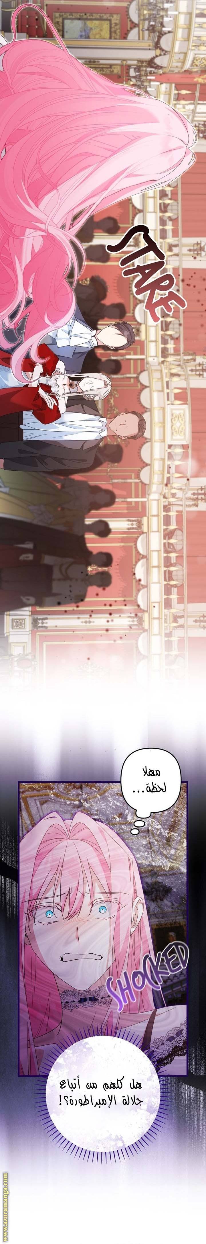 الصفحة 17