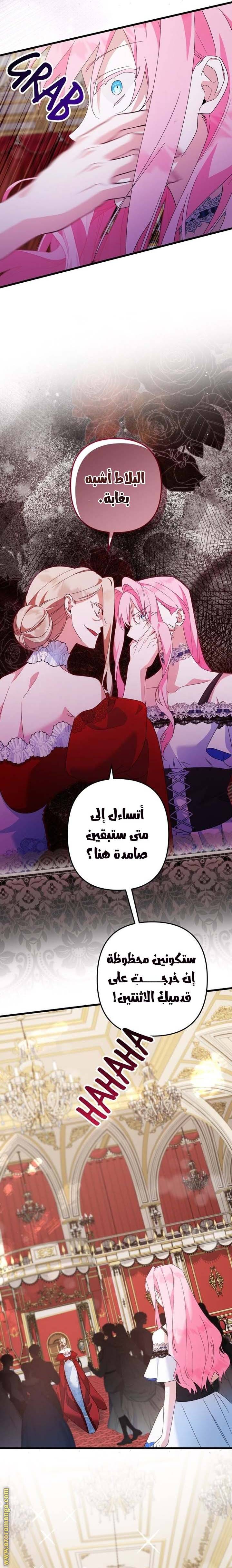 الصفحة 20