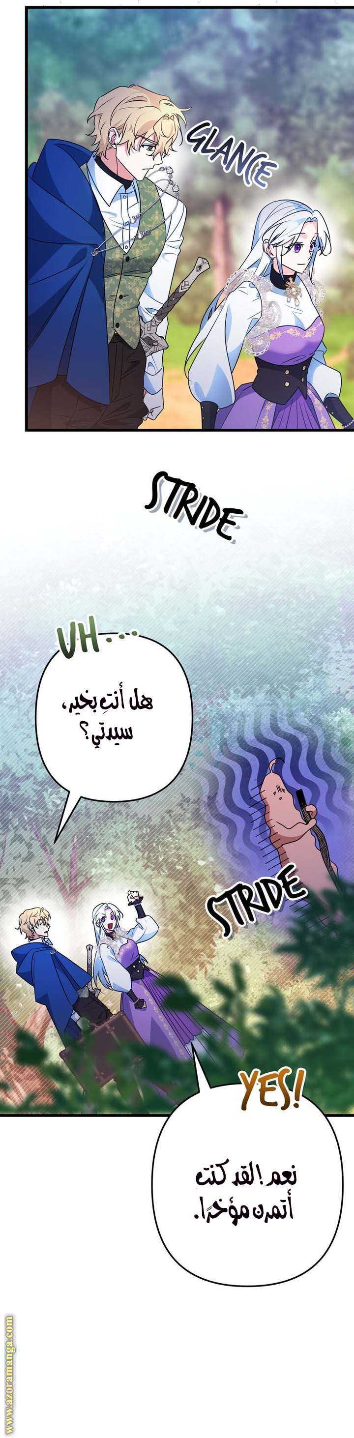 الصفحة 11