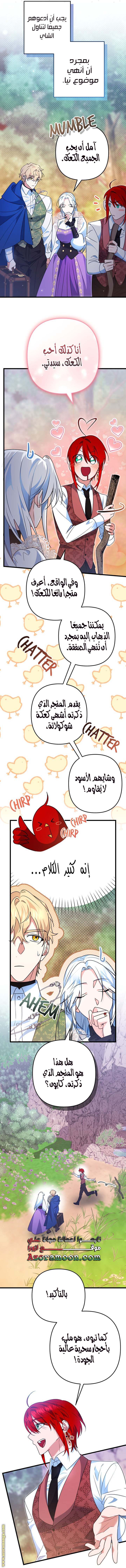 الصفحة 15
