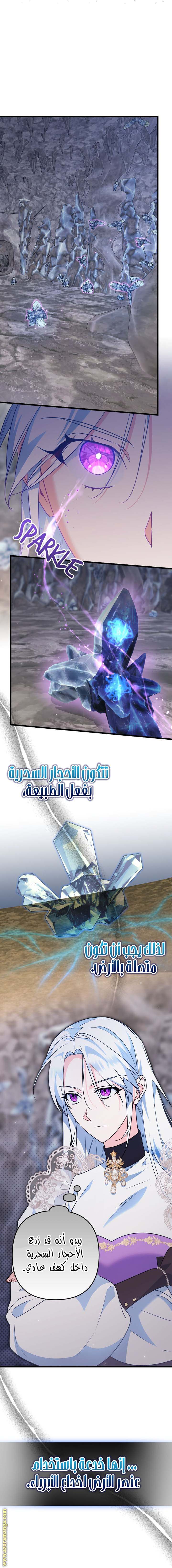 الصفحة 16