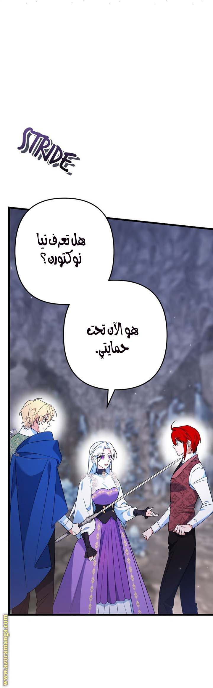 الصفحة 19