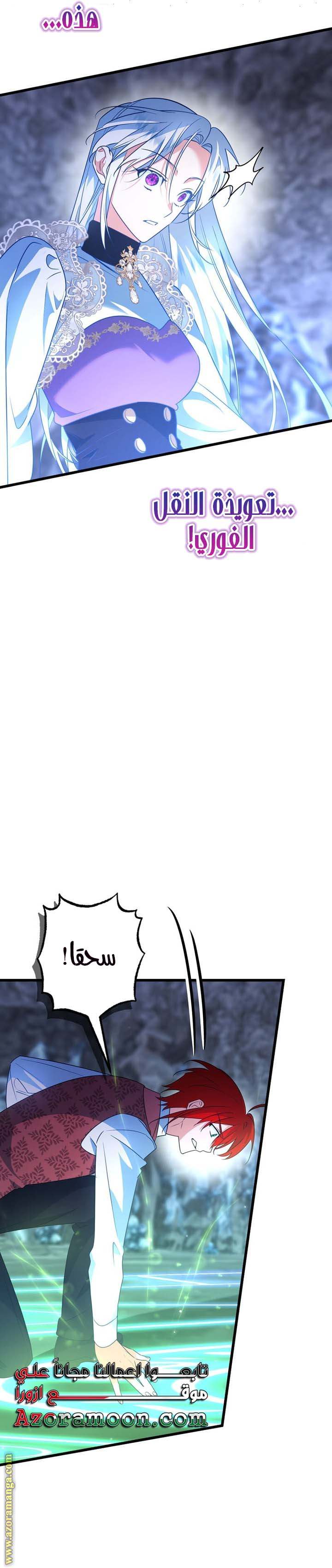 الصفحة 25