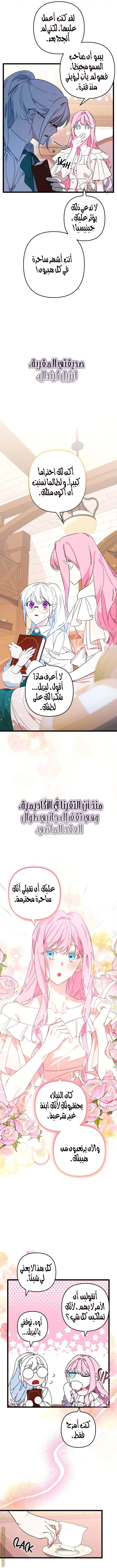الصفحة 6