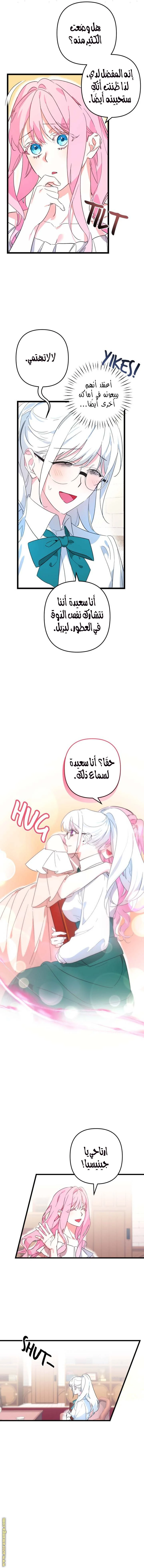 الصفحة 8