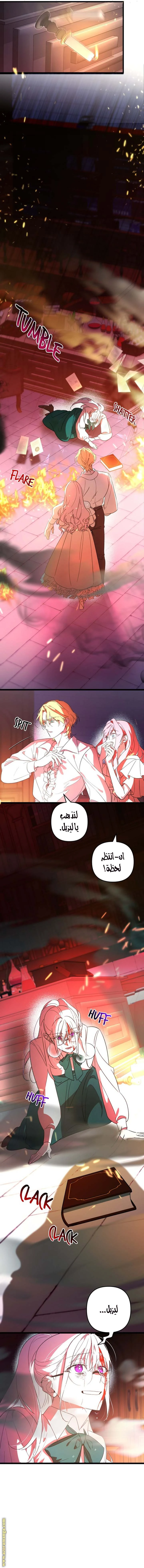الصفحة 14