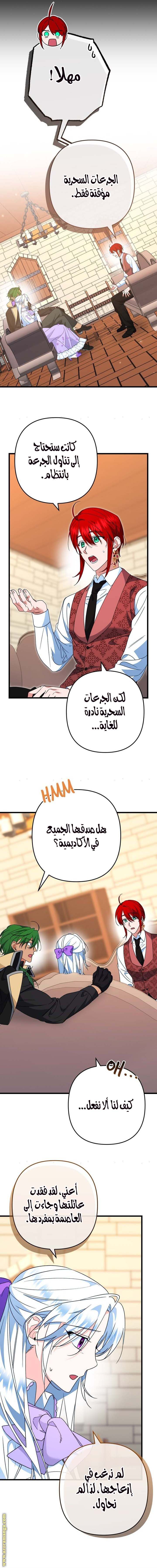 الصفحة 8