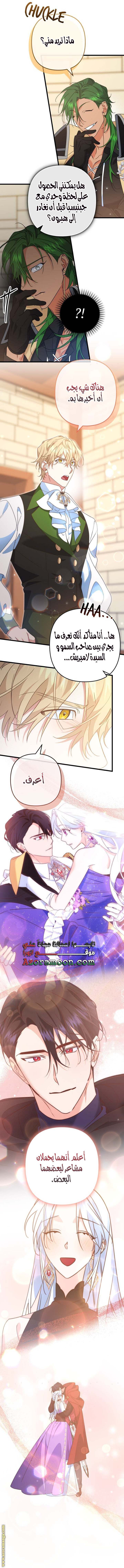 الصفحة 11