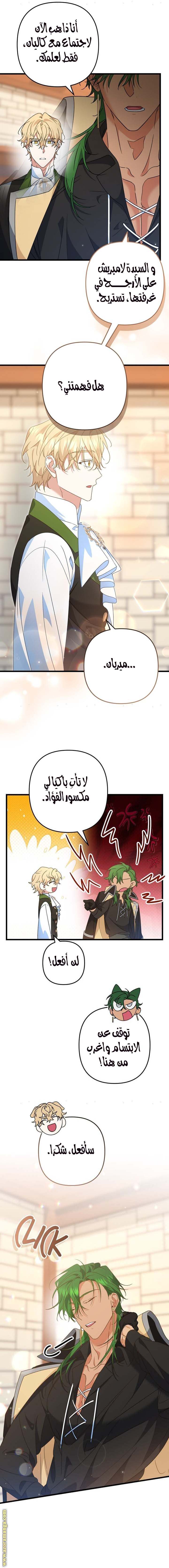 الصفحة 14