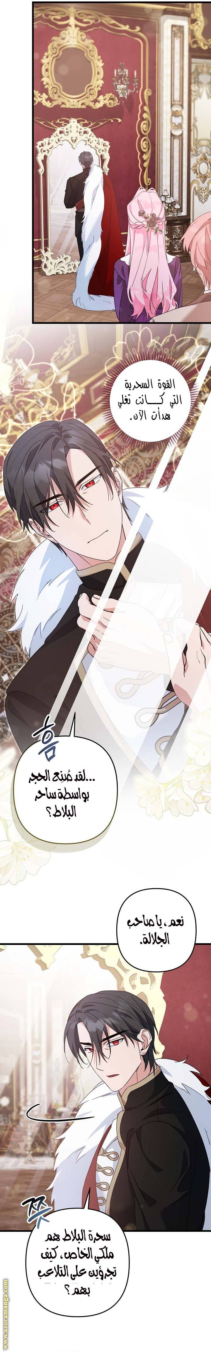 الصفحة 11