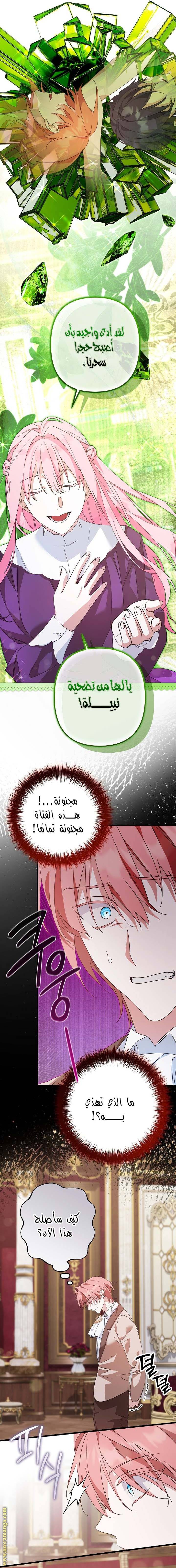 الصفحة 13