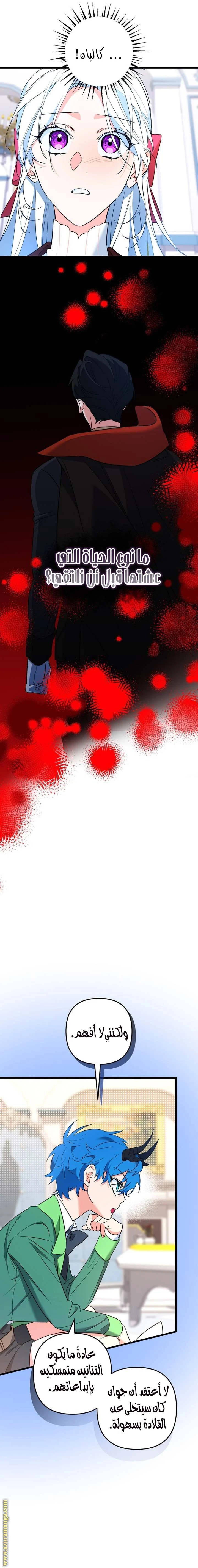 الصفحة 11