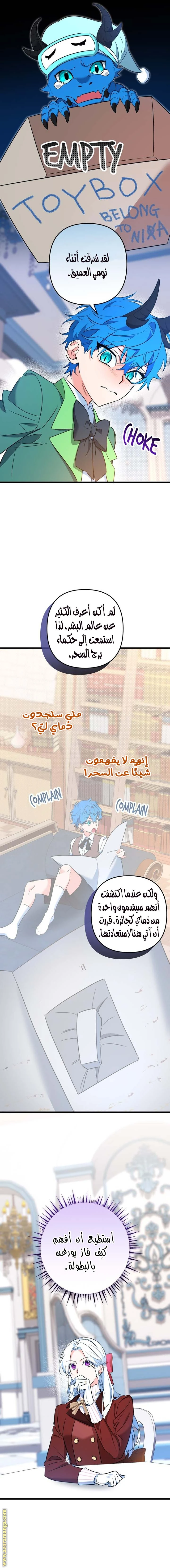 الصفحة 13