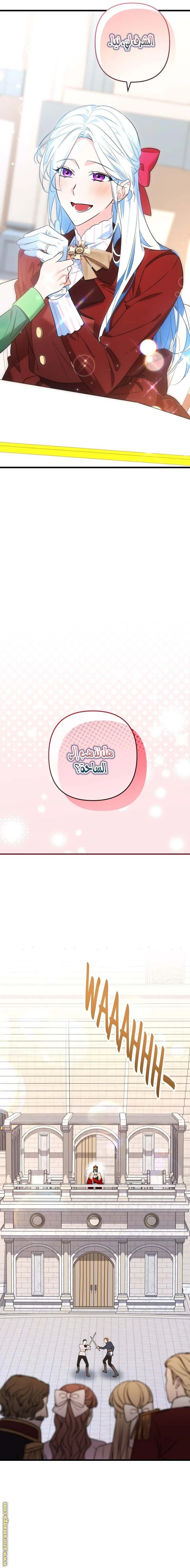 الصفحة 17