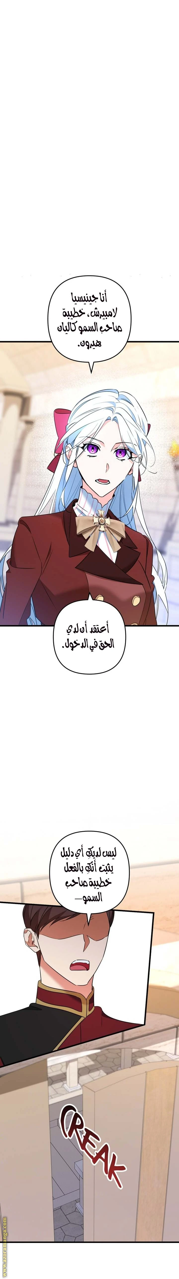 الصفحة 19