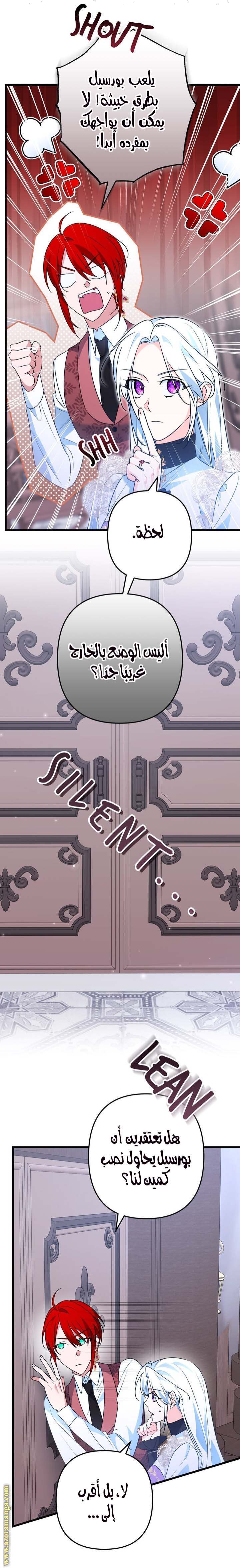 الصفحة 17