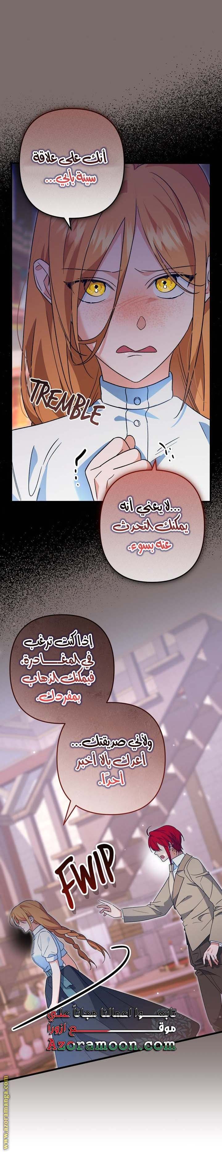 الصفحة 13