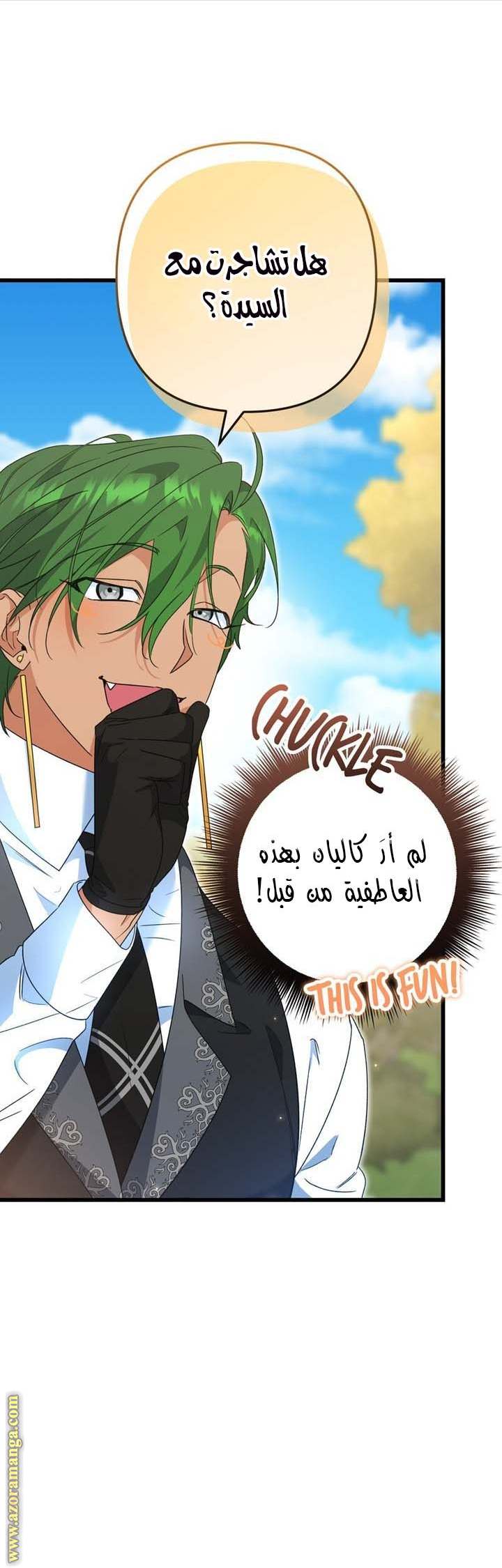 الصفحة 17