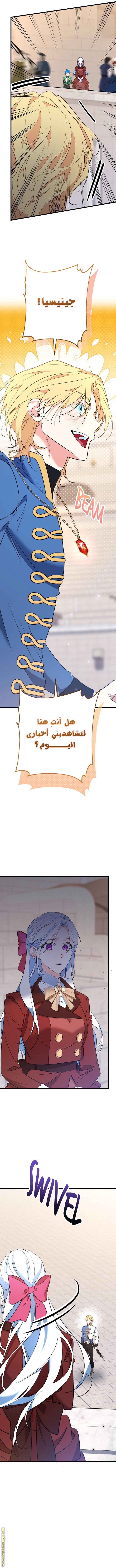 الصفحة 14