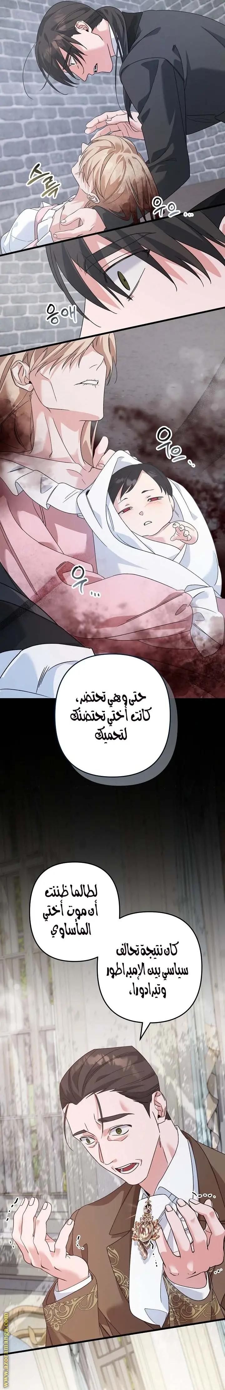 الصفحة 15