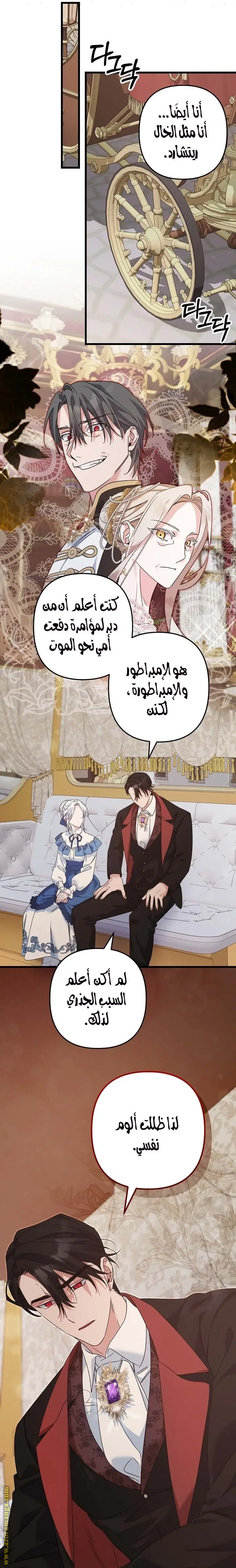 الصفحة 17