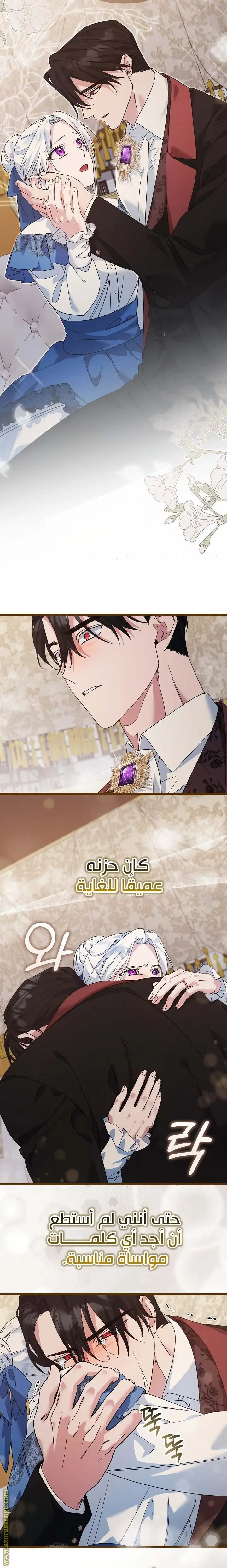 الصفحة 19