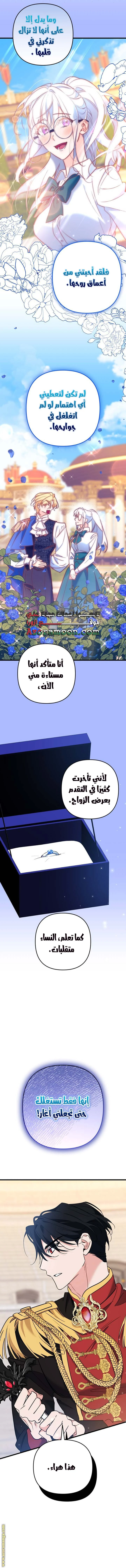 الصفحة 7