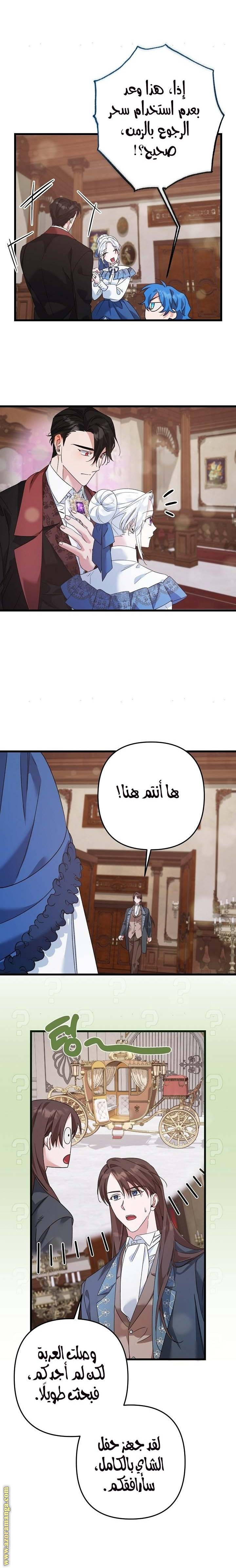 الصفحة 13