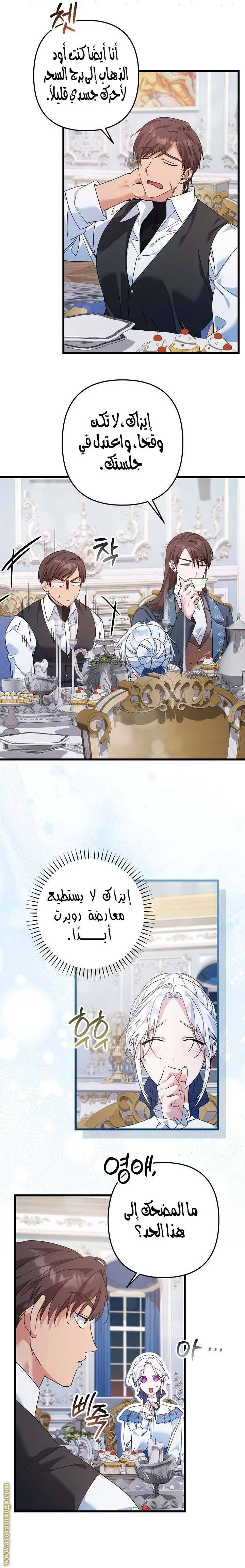 الصفحة 17
