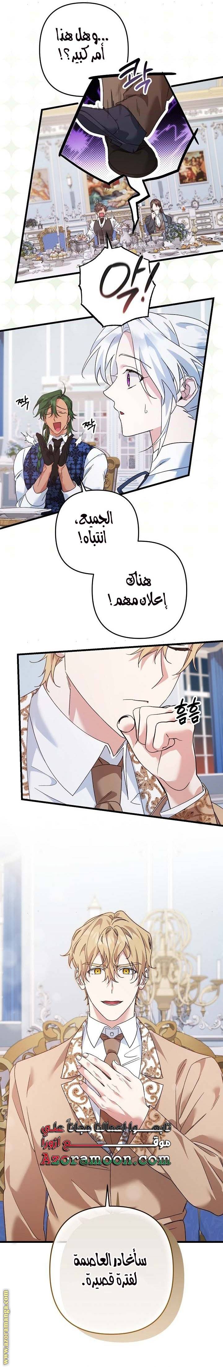 الصفحة 19