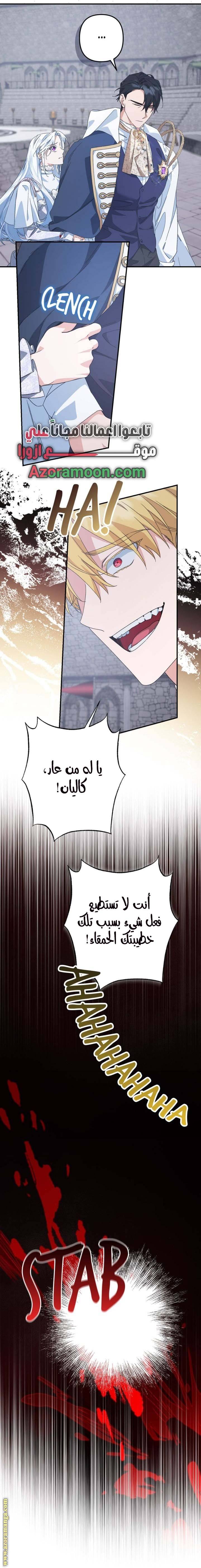 الصفحة 12
