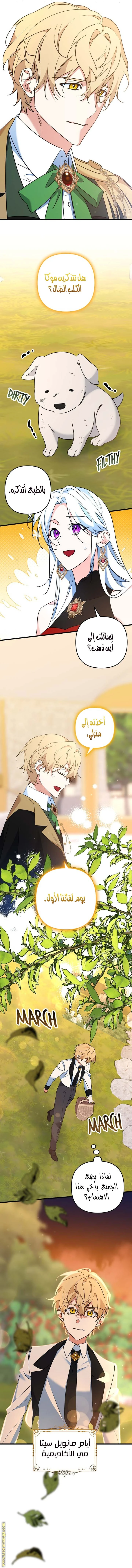 الصفحة 3